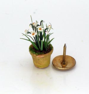 24th Scale Narcissus (image for) 24th Scale Narcissus